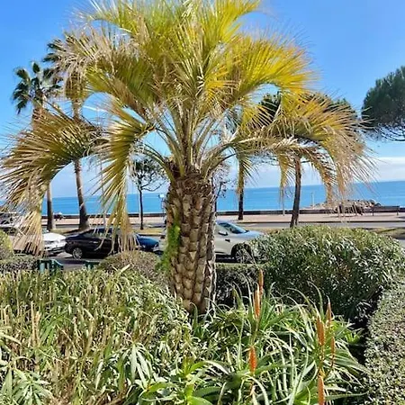 Grands En Bord De Apartman