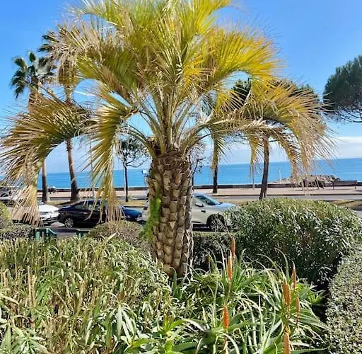 Grands En Bord De Apartament